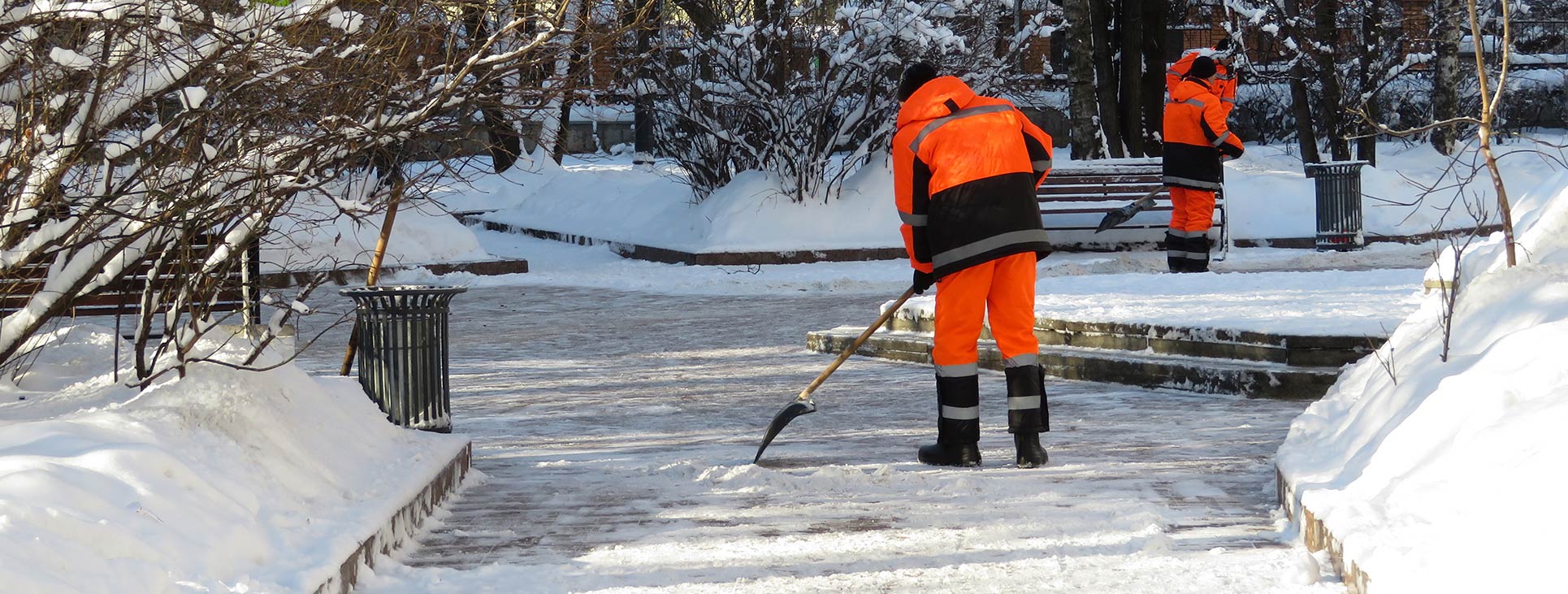 Snow Blower